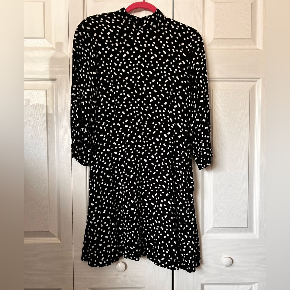 Zara Polka Dot Dress